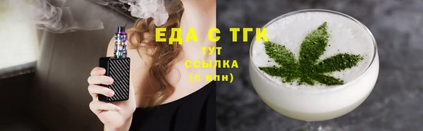 индика Дмитриев