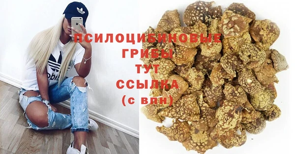 синтетический гашиш Арсеньев