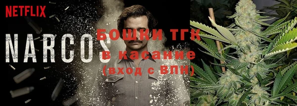 крисы Аркадак