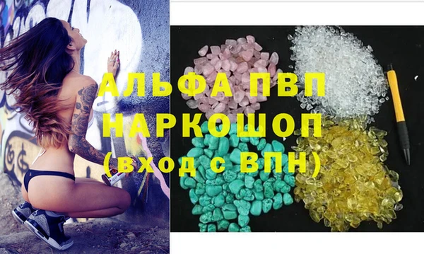 крисы Аркадак